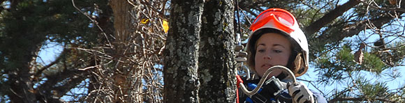 Pocket Tools Random Banner